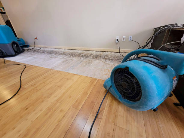 Professional Water Damage Repair technician working in Kimmswick, MO